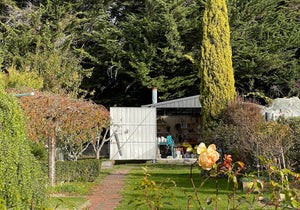 An inspiring garden studio